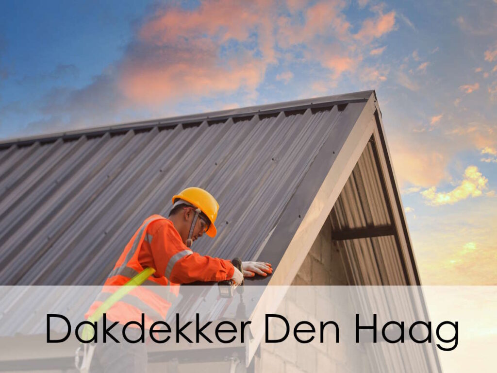 dakdekker den haag