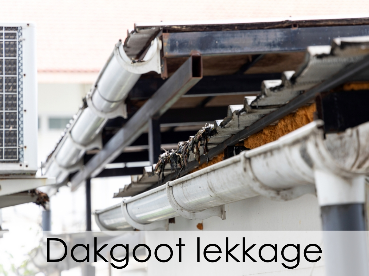 dakgoot lekkage