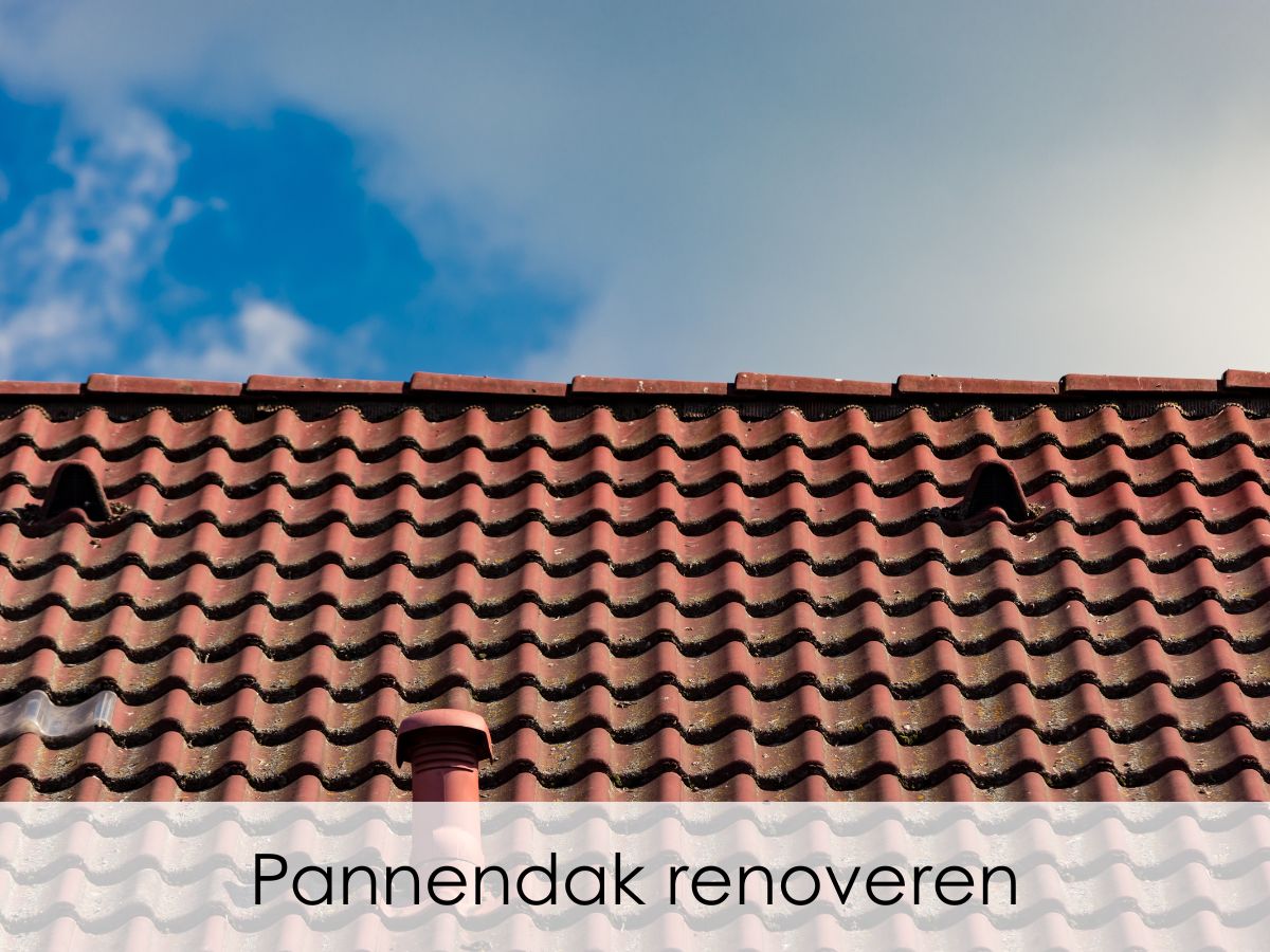 Renovatie pannendak