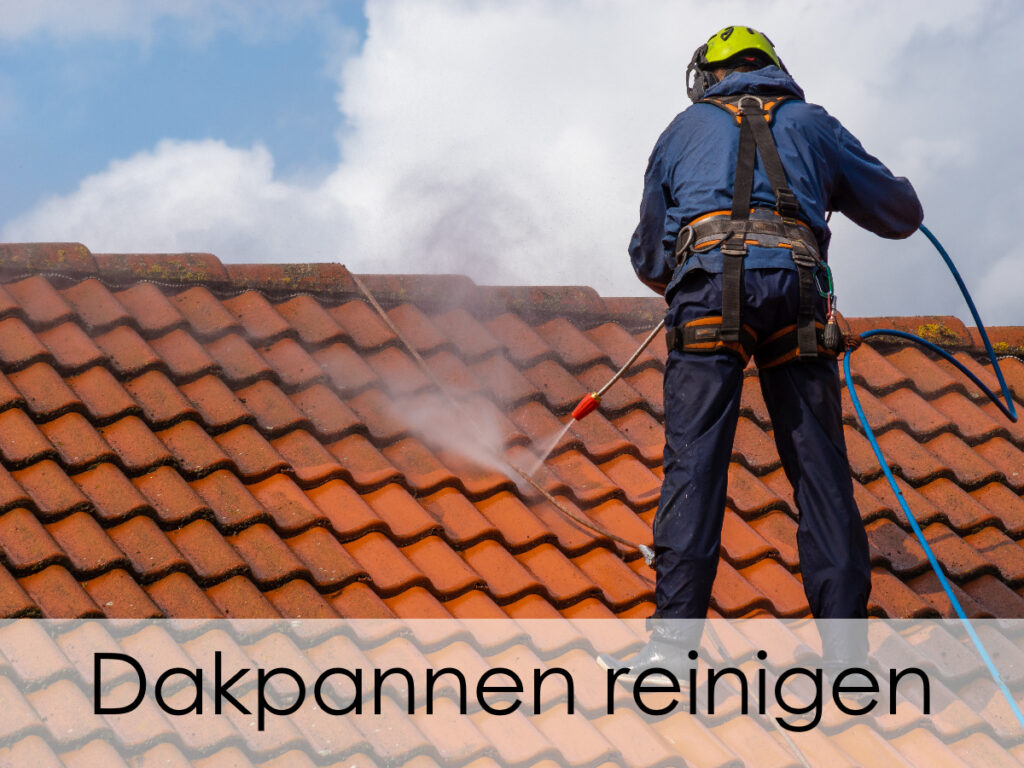 dakpannen reinigen