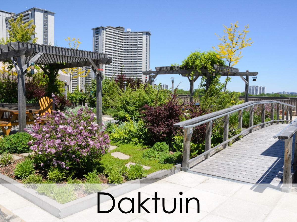 daktuin