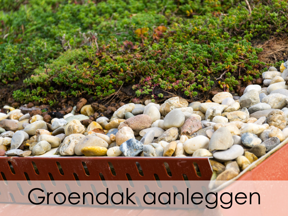 groendak aanleggen