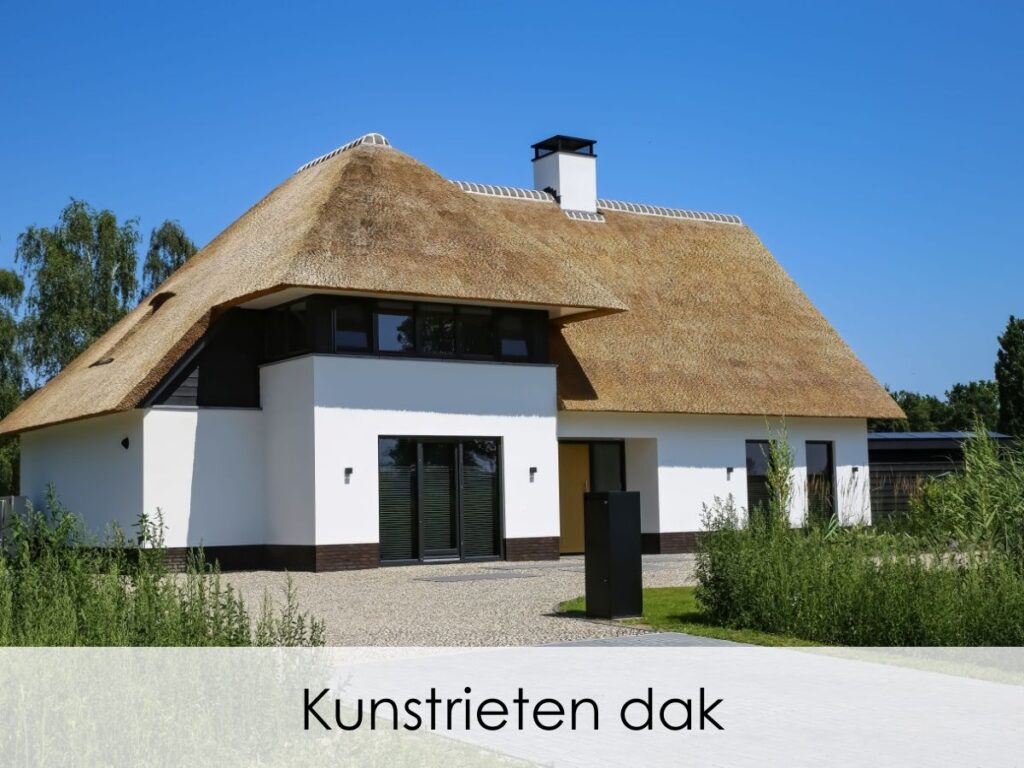 Kunstrieten dak