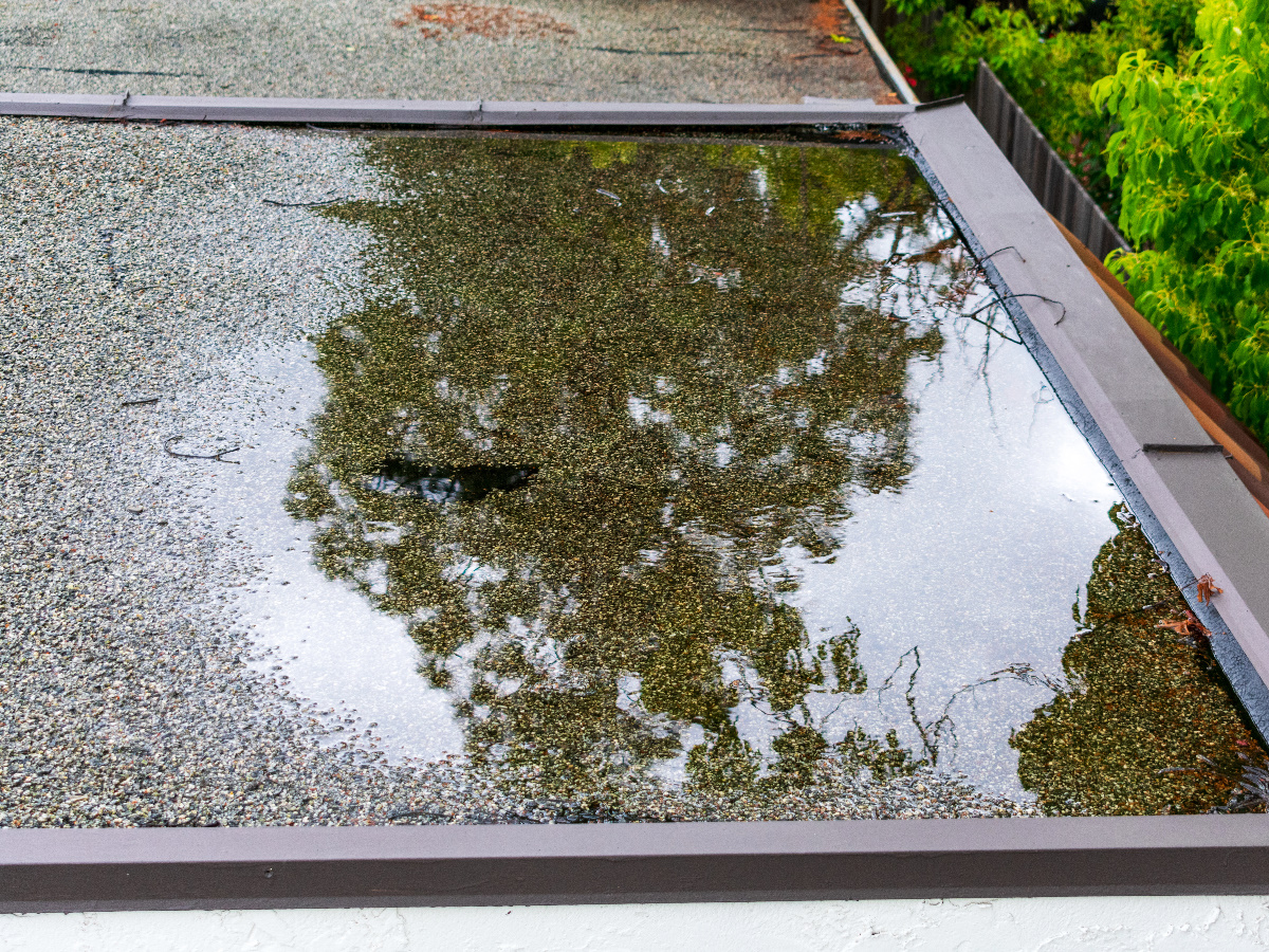 water dat blijft liggen op een plat dak